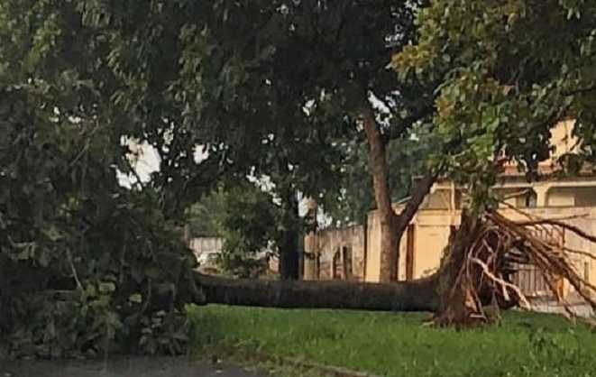 Tempestade cai sobre a cidade de Ituiutaba e alaga casas, ruas e árvores são arrancadas do solo. Noite de intenso trabalho para desobstruir as ruas e avenidas