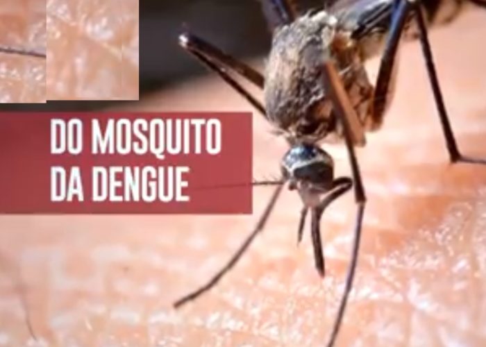 Casos de dengue continuam aumentando em Ituiutaba e a população é a principal parceira no combate ao mosquito vetor