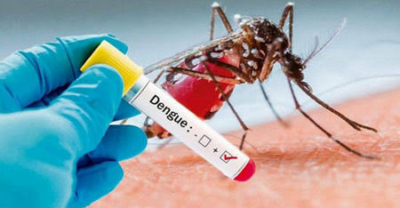 Epidemia de dengue preocupada área de saúde de Ituiutaba