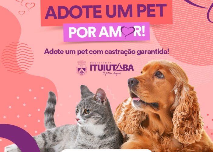 Adote um Pet por Amor: Prefeitura inicia campanha para adoção de animais com castração garantida