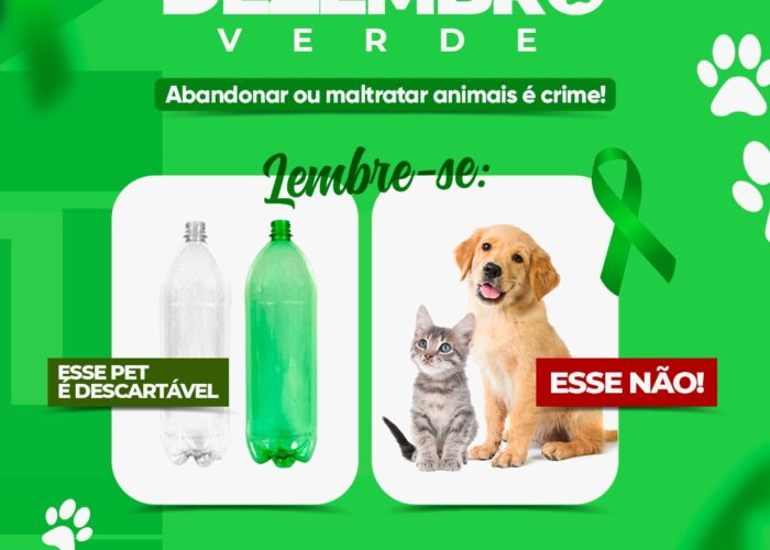 Dezembro Verde: campanha alerta sobre crime e consequências do abandono de animais