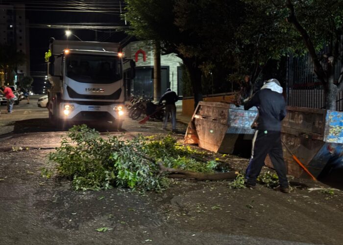 Entenda a poda das árvores nas ruas que receberão recapeamento no Centro