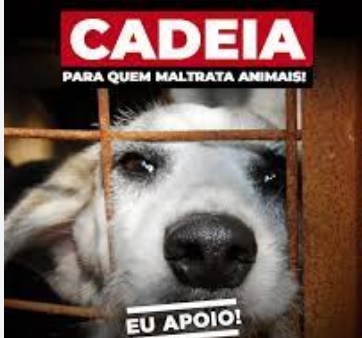 Projeto de lei que tramita no Senado Eetabelecer pena de detenção de 4 a 16 anos para quem praticar abuso, ferir ou mutilar animais
